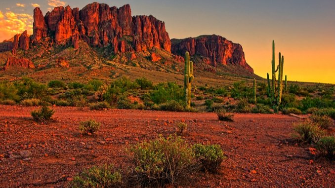 arizona desert
