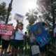 'No Kings Day': Thousands of Tucsonans gather at Reid Park, Oro Valley