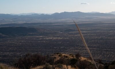Repealing 'Roadless Rule,' Trump rolls back protections for 58M acres of forests & wildlands