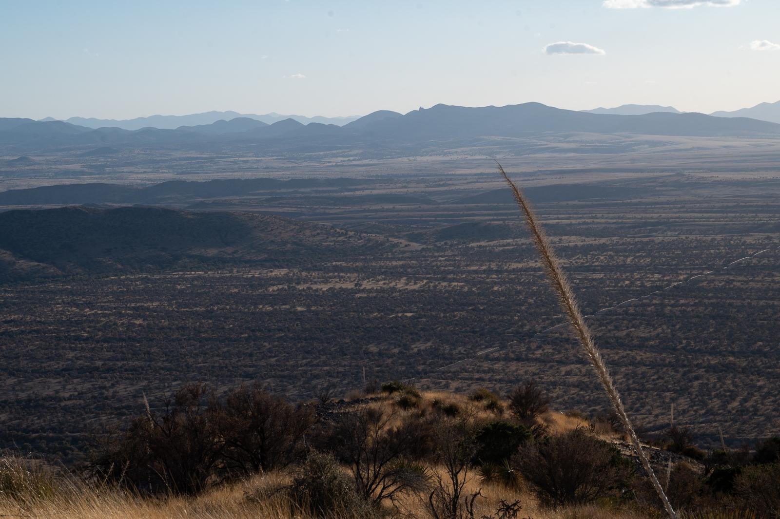 Repealing 'Roadless Rule,' Trump rolls back protections for 58M acres of forests & wildlands