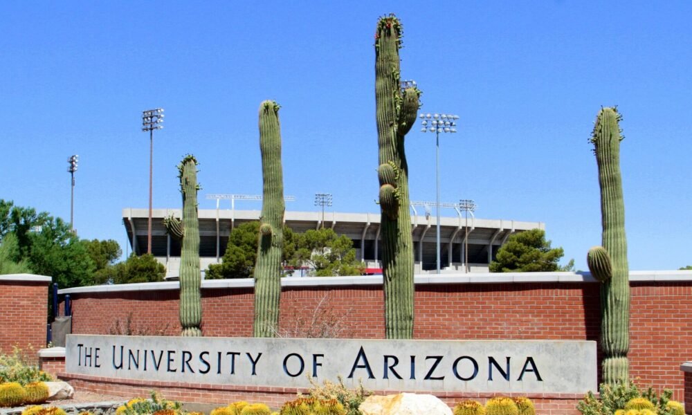 University of Arizona faculty say administrator causing severe harm to Native students