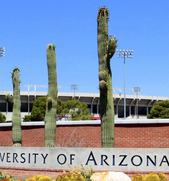 University of Arizona faculty say administrator causing severe harm to Native students