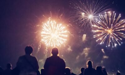 A guide to keeping pets safe and calm during fireworks